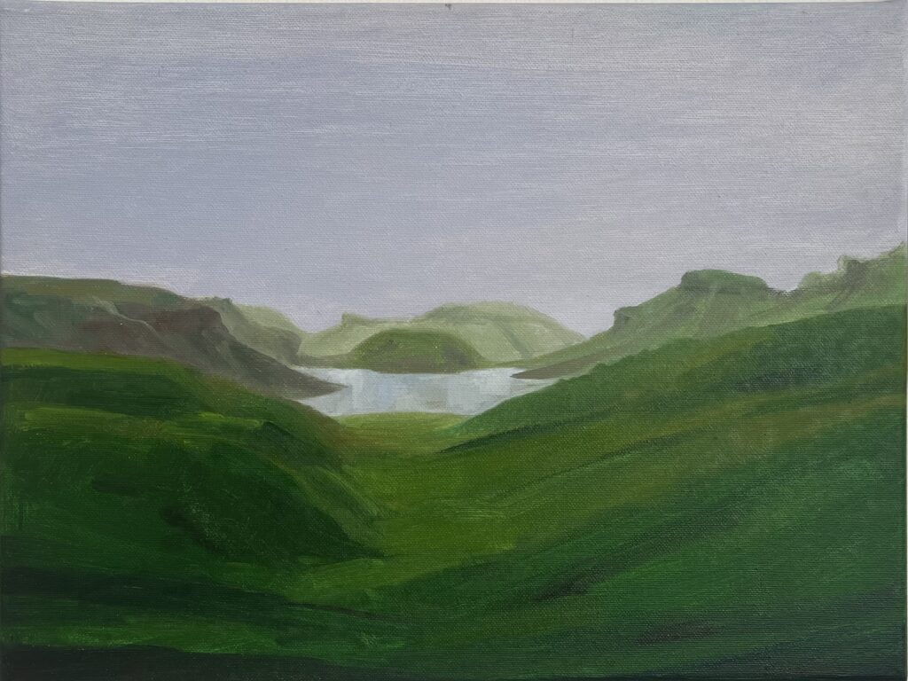 Álatjörn í Hrunamannahreppi